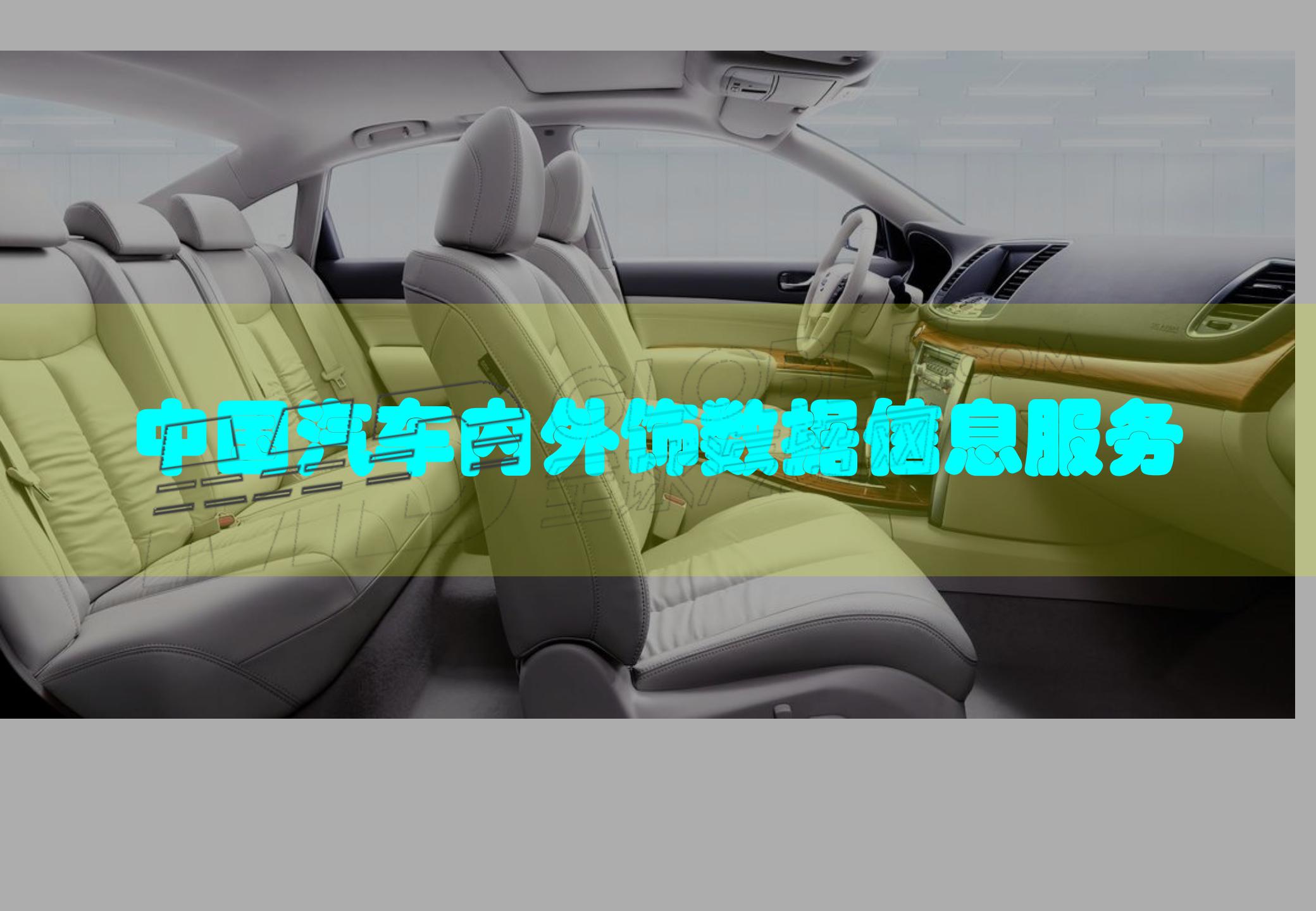中国汽车市场内外饰大数据对标服务_00.jpg